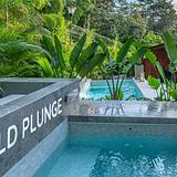 Amenity Packed W Cold Plunge/Sauna/Pool/Jacuzzi photo 18